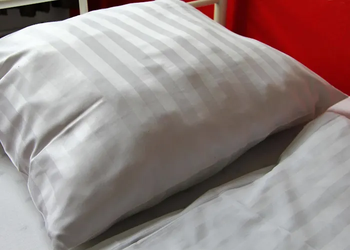 Check In بيت شباب *