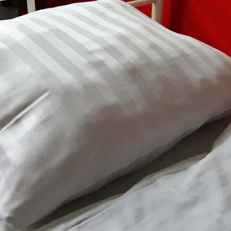 Check In 호스텔 *